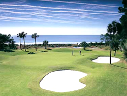 Harbour Town Golf Links at Sea Pines Resort 