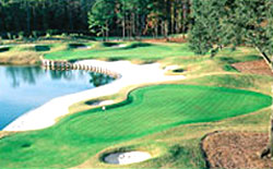 Old Carolina Golf Club 