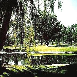 Robber's Row at Port Royal Golf Club 