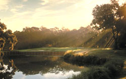 Sea Marsh at Sea Pines Resort 