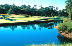 Hilton Head Golf
